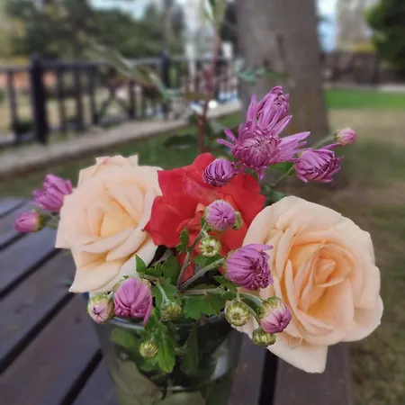 Xenonas Epavlis 호텔