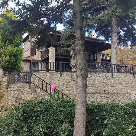 Xenonas Epavlis Hotel Synikia Mesi Trikalon