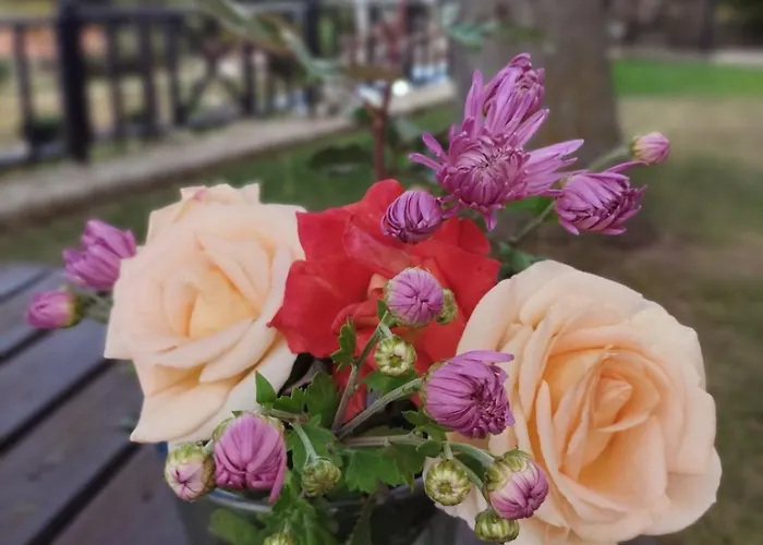 Xenonas Epavlis Hotel